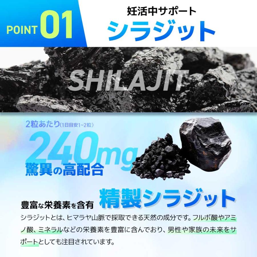 DANGAN4 （約1ヶ月分） 亜鉛 マカ サプリ 男性 の元気 マムシ スッポン サソリ サプリメント シラジット ミネラル 送料無料 ポイント利用 | ogaland | 06