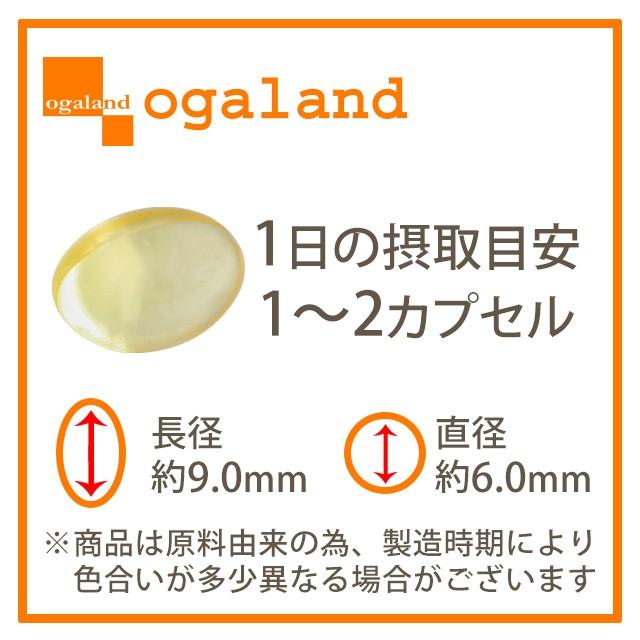 ogaland（オーガランド） オメガ3 dha epa サプリメント（約3ヶ月分