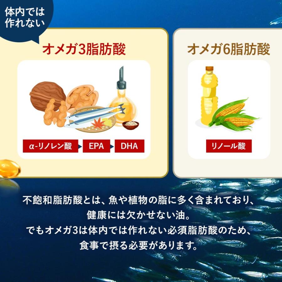 オメガ3 dha epa サプリメント（約3ヶ月分）DHA EPA サプリ アマニ油 α-リノレン酸 不飽和 脂肪酸 あまに油 えごま油 魚 美容 健康 生活習慣 ポイント利用 | ogaland | 06