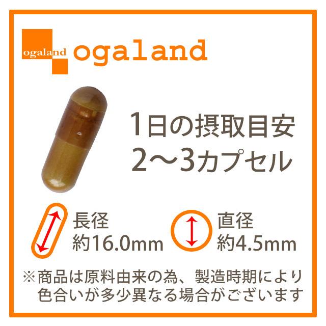 エキナセア サプリ 約3ヶ月分 国内生産 サプリメント エキナセアプルプレア 黒コショウ ビタミンC ポイント利用 | ogaland | 09