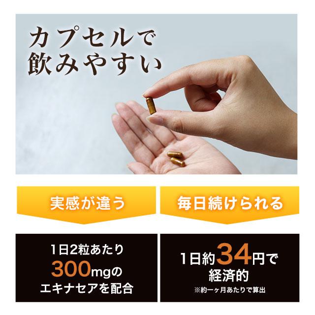 エキナセア サプリ 約3ヶ月分 国内生産 サプリメント エキナセアプルプレア 黒コショウ ビタミンC ポイント利用 | ogaland | 06