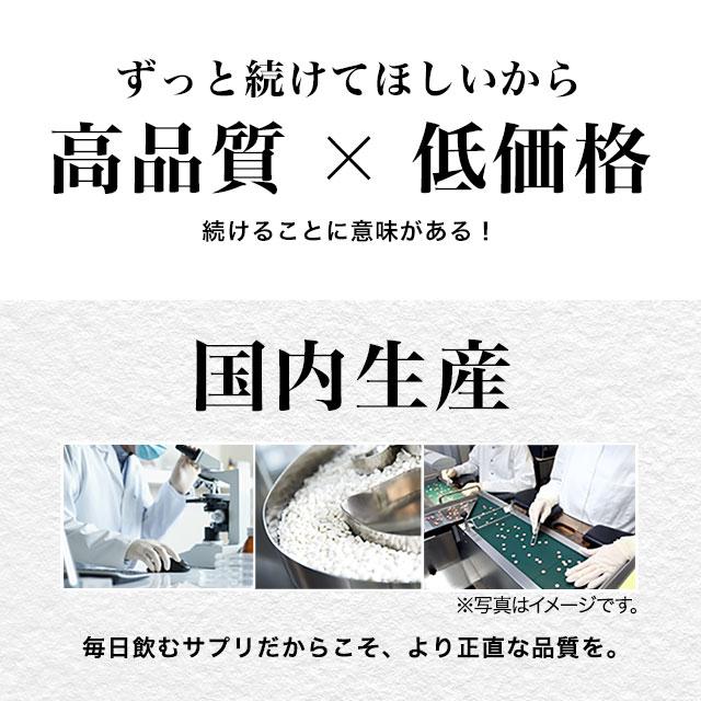 エキナセア （約6ヶ月分） サプリ サプリメント エキナセアプルプレア ビタミンC 季節の変わり目 送料無料 黒コショウ レディース ポイント利用 | ogaland | 07