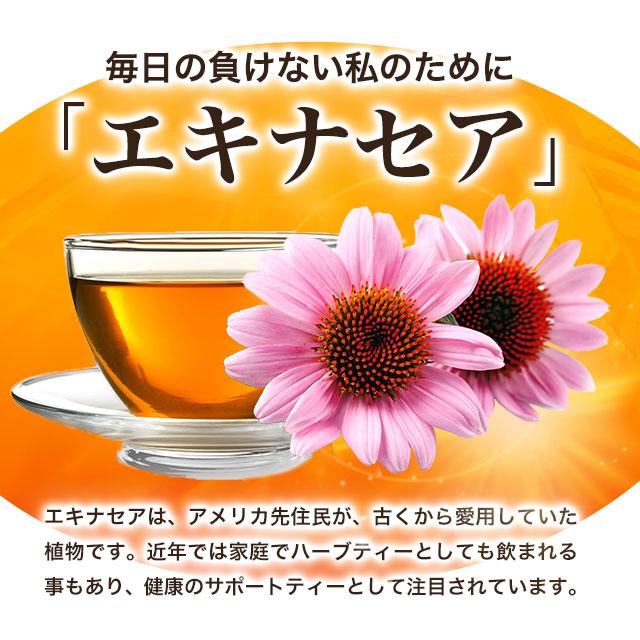 エキナセア （約1ヶ月分） サプリ サプリメント エキナセアプルプレア 黒コショウ ビタミンC 季節の変わり目 国内生産 黒胡椒 黒コショウ ポイント利用 | ogaland | 03