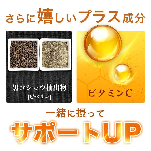 エキナセア （約1ヶ月分） サプリ サプリメント エキナセアプルプレア 黒コショウ ビタミンC 季節の変わり目 国内生産 黒胡椒 黒コショウ ポイント利用 | ogaland | 04