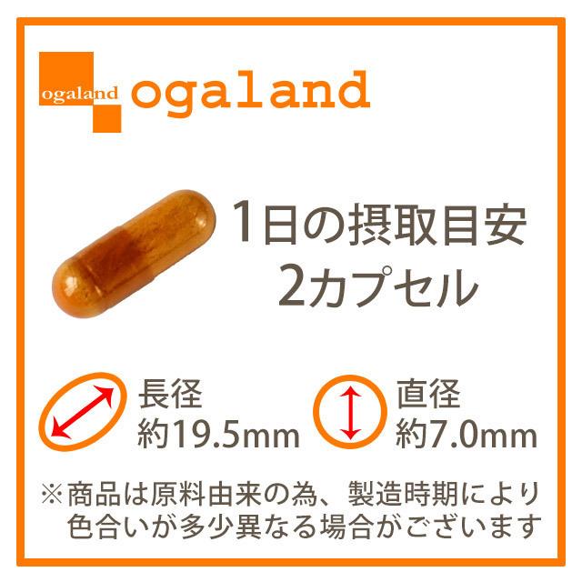 EDGE エッジ （約3ヶ月分） サプリ サプリメント マカ 抽出物 3000mg 亜鉛 メンズ オリーブ葉エキス アルギニン や シトルリン と一緒に 送料無料｜oga｜21