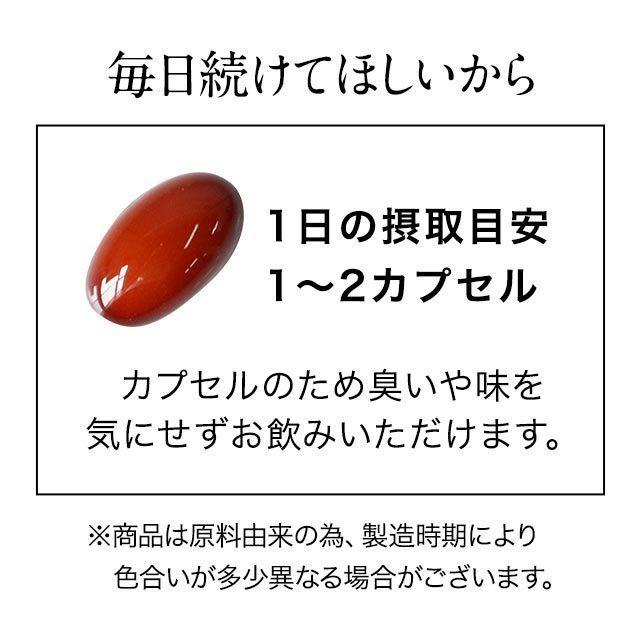 エクオール S （約6ヶ月分）大豆イソフラボンと一緒に  サプリ エクオール サプリメント イソフラボン ラクトビオン酸  美容 女性 ポイント利用  1粒5mg 2粒10mg | ogaland | 14
