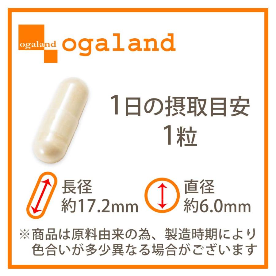 エクオール10（約1ヶ月分）エクオール サプリ 10mg 大豆イソフラボン 国内製造 女性 美容 サプリ 健康 ラクトビオン酸 送料無料 サプリメント ポイント利用 | ogaland | 16