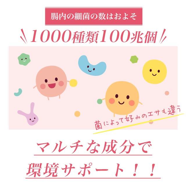 マルチファイバー8 （約1ヶ月分） ダイエット サプリメント イヌリン 食物繊維 サプリ 難消化性デキストリン 健康 美容 アクティブファイバー(R) ポイント利用 | ogaland | 14