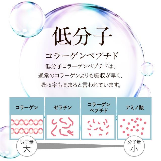 さらさらフィッシュコラーゲン （100ｇ） 無着色 無香料 純度 100％ コラーゲンペプチド コラーゲンパウダー 魚 北海道産 天然 鮭 粉末 送料無料 ポイント利用 | ogaland | 09