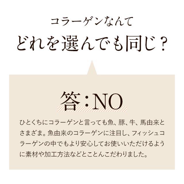 さらさらフィッシュコラーゲン （100ｇ） 無着色 無香料 純度 100％ コラーゲンペプチド コラーゲンパウダー 魚 北海道産 天然 鮭 粉末 送料無料 ポイント利用 | ogaland | 02