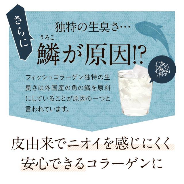 さらさらフィッシュコラーゲン（100ｇ） 3個セット コラーゲンペプチド コラーゲンパウダー 無着色 無香料 高純度 100％ 粉末 魚 北海道産 天然 ポイント利用 | ogaland | 08