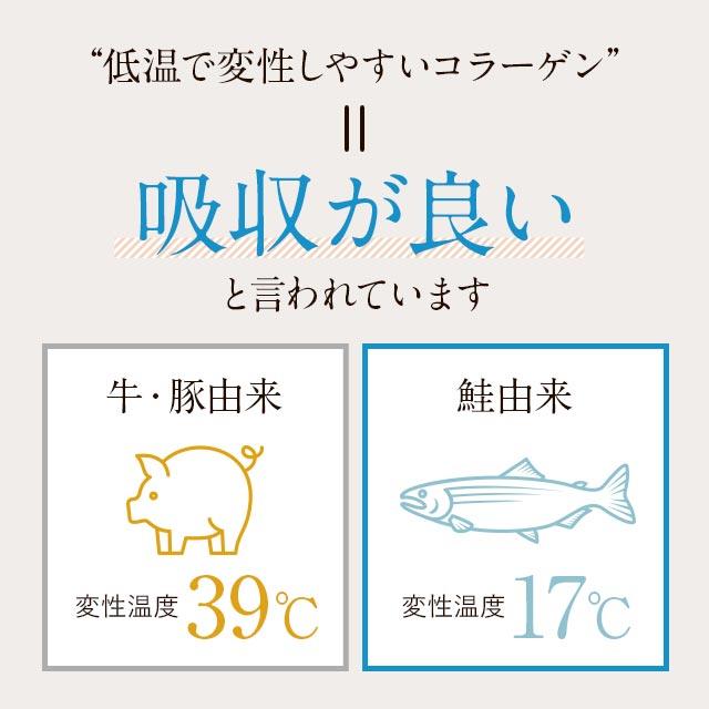 さらさらフィッシュコラーゲン（100ｇ） 3個セット コラーゲンペプチド コラーゲンパウダー 無着色 無香料 高純度 100％ 粉末 魚 北海道産 天然 ポイント利用 | ogaland | 04