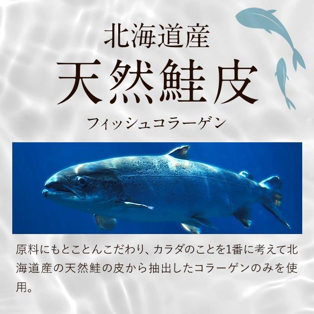 さらさらフィッシュコラーゲン（100ｇ） 3個セット コラーゲンペプチド コラーゲンパウダー 無着色 無香料 高純度 100％ 粉末 魚 北海道産 天然 ポイント利用 | ogaland | 06