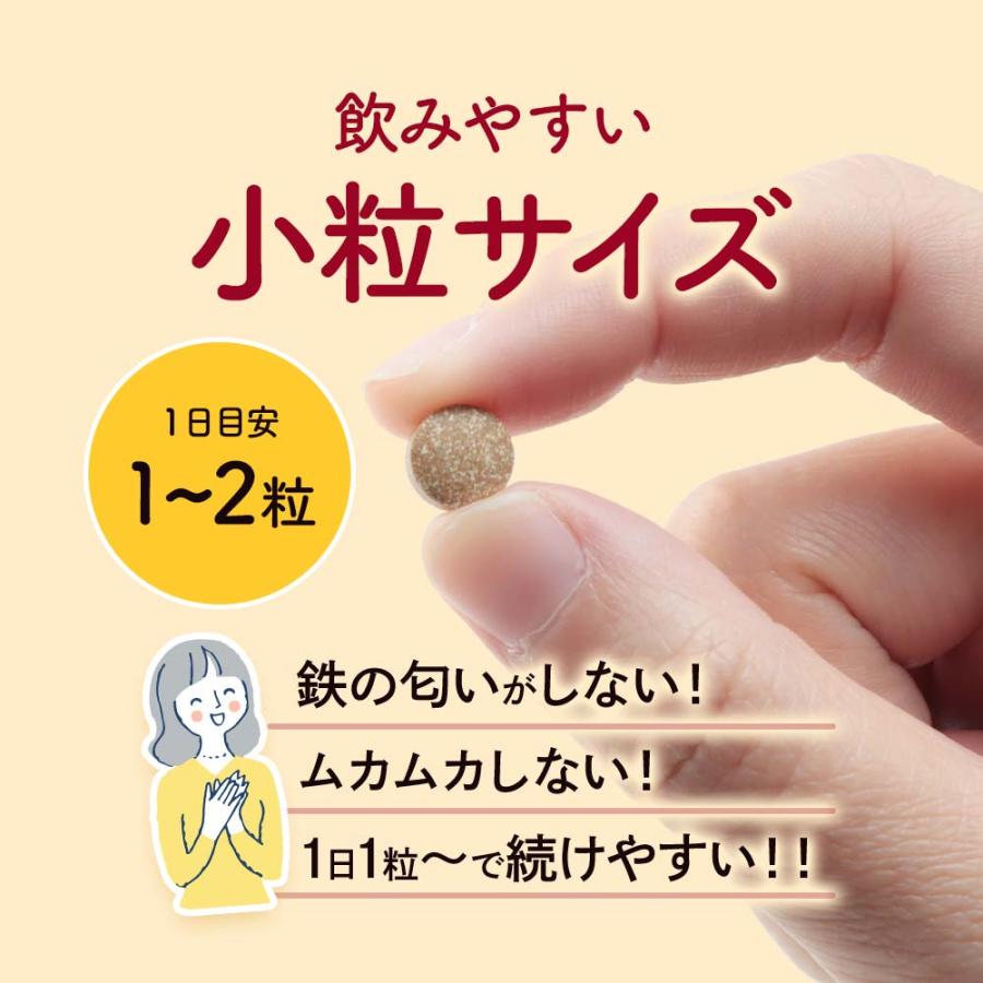 フェリチン鉄（12個セット・約12ヶ月分）新発売 栄養機能食品 貯蔵鉄 鉄分 不足  ミネラル ビタミン 大豆 由来 亜鉛 やさしい おすすめ 健康 美容 ダイエット | ogaland | 14