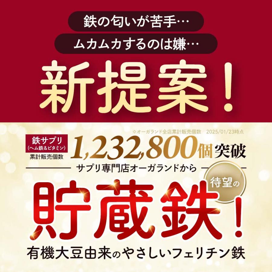 フェリチン鉄（12個セット・約12ヶ月分）新発売 栄養機能食品 貯蔵鉄 鉄分 不足  ミネラル ビタミン 大豆 由来 亜鉛 やさしい おすすめ 健康 美容 ダイエット | ogaland | 01