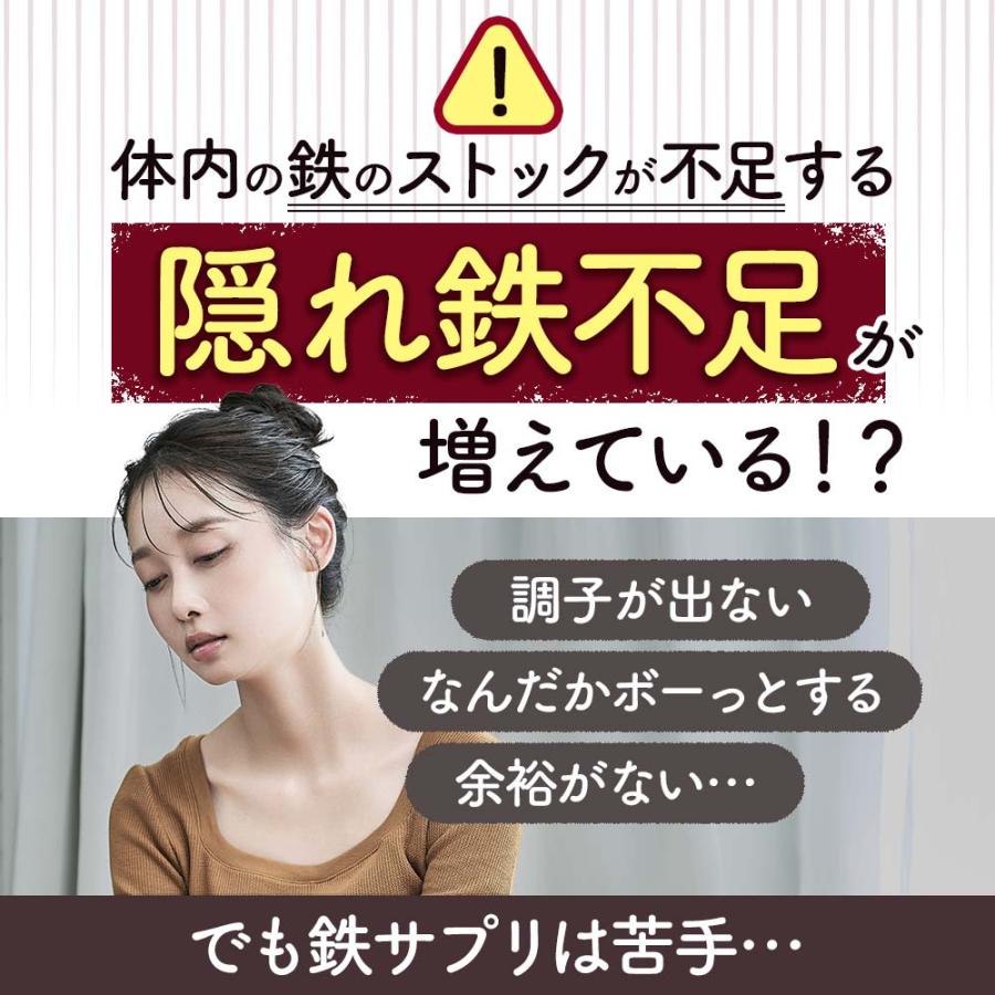 フェリチン鉄（12個セット・約12ヶ月分）新発売 栄養機能食品 貯蔵鉄 鉄分 不足  ミネラル ビタミン 大豆 由来 亜鉛 やさしい おすすめ 健康 美容 ダイエット | ogaland | 03