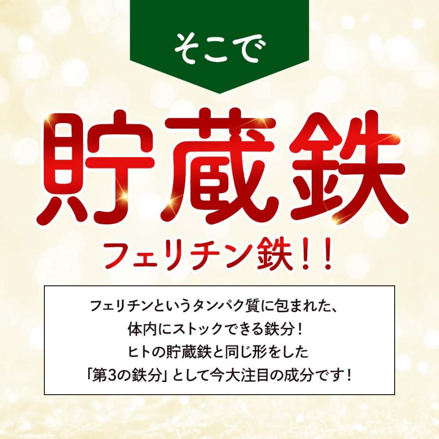 フェリチン鉄（12個セット・約12ヶ月分）新発売 栄養機能食品 貯蔵鉄 鉄分 不足  ミネラル ビタミン 大豆 由来 亜鉛 やさしい おすすめ 健康 美容 ダイエット | ogaland | 04