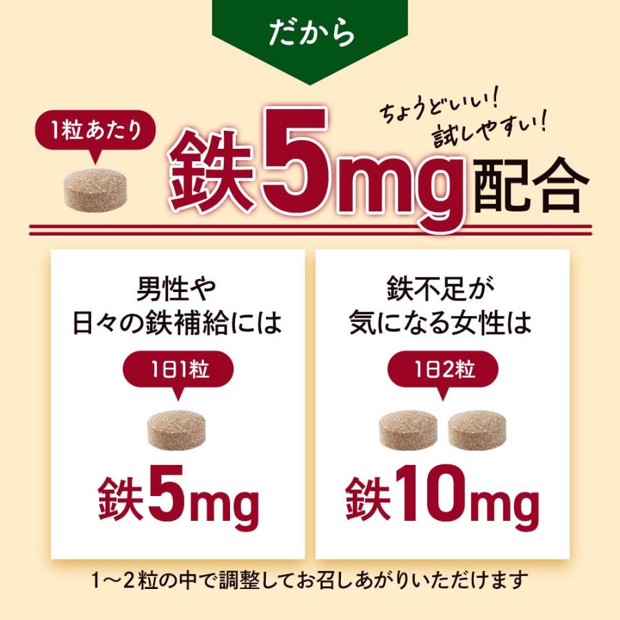 フェリチン鉄（約1ヶ月分）新発売 栄養機能食品 貯蔵鉄 鉄 不足 まめ鉄 鉄分 サプリ ミネラル ビタミン 大豆 由来 亜鉛 サプリ サプリメント ポイント利用 | ogaland | 13