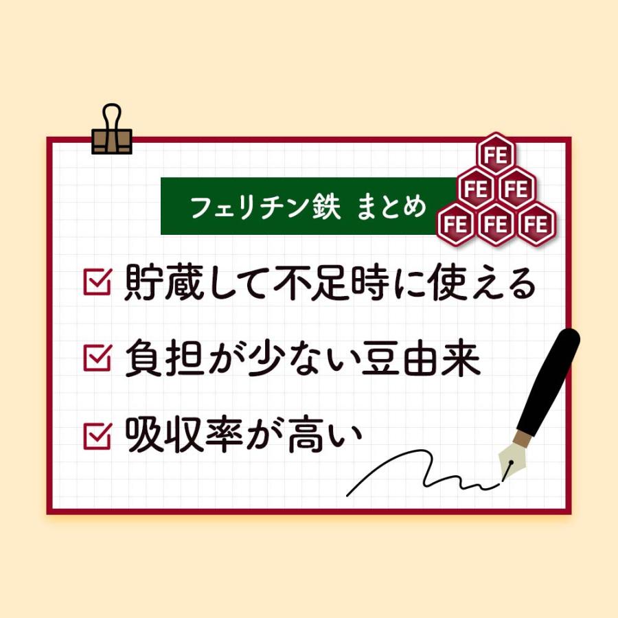 フェリチン鉄（約1ヶ月分）新発売 栄養機能食品 貯蔵鉄 鉄 不足 まめ鉄 鉄分 サプリ ミネラル ビタミン 大豆 由来 亜鉛 サプリ サプリメント ポイント利用 | ogaland | 15