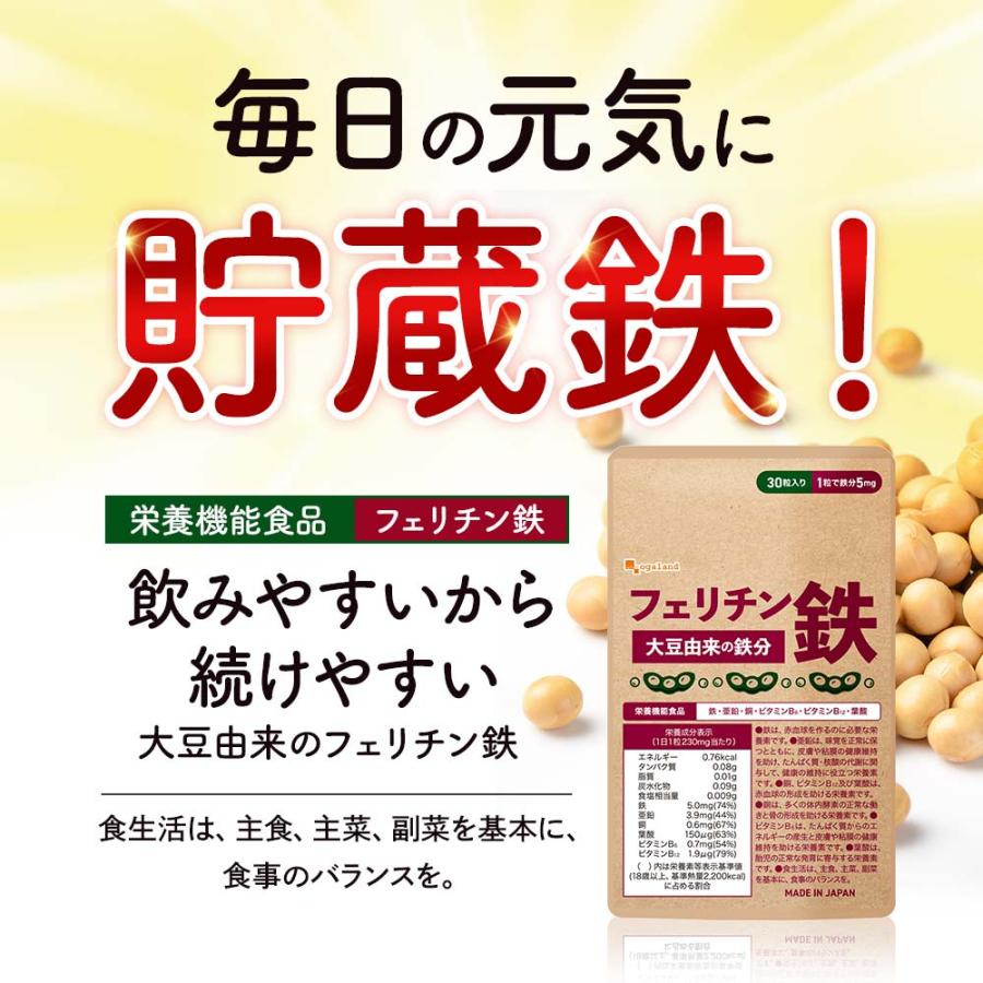 フェリチン鉄（約3ヶ月分）新発売 栄養機能食品 貯蔵鉄 鉄 不足 ミネラル ビタミン 大豆 由来 亜鉛 やさしい 美容 ダイエット サプリ ポイント利用 | ogaland | 17