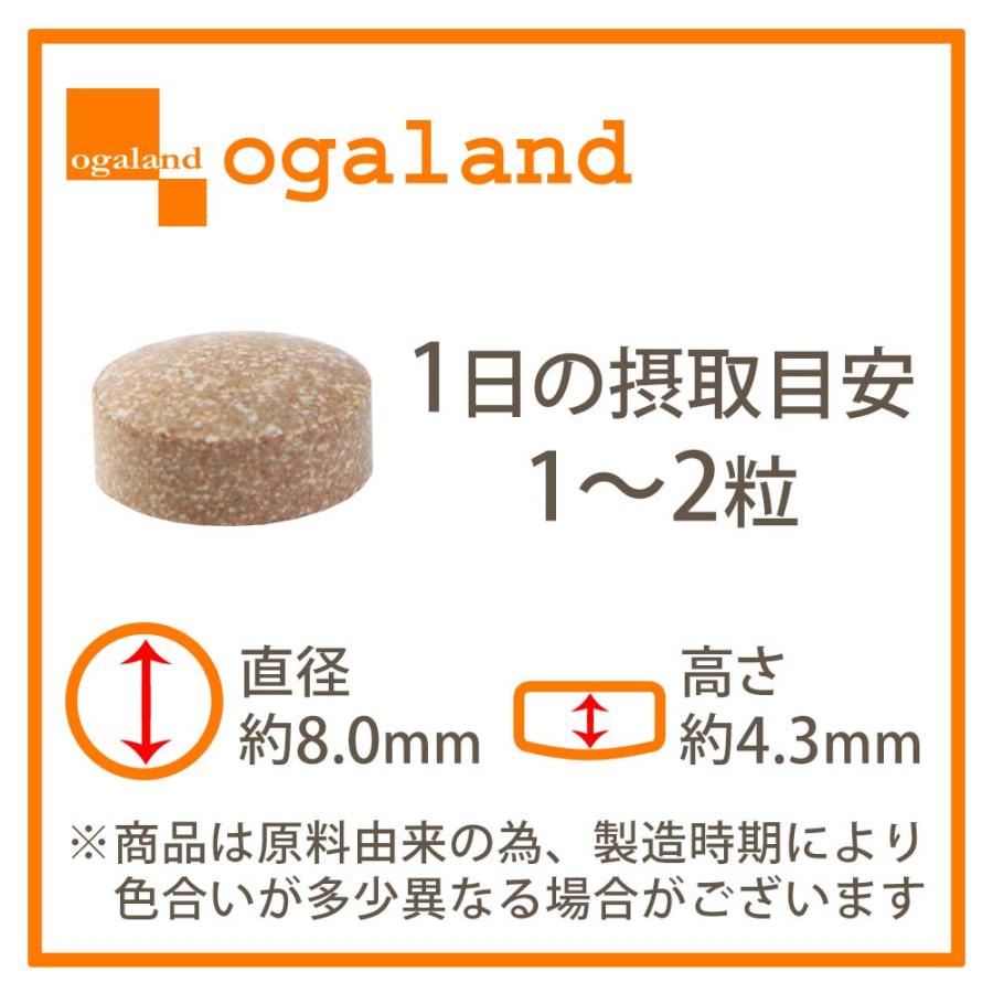 フェリチン鉄（約3ヶ月分）新発売 栄養機能食品 貯蔵鉄 鉄 不足 ミネラル ビタミン 大豆 由来 亜鉛 やさしい 美容 ダイエット サプリ ポイント利用 | ogaland | 18