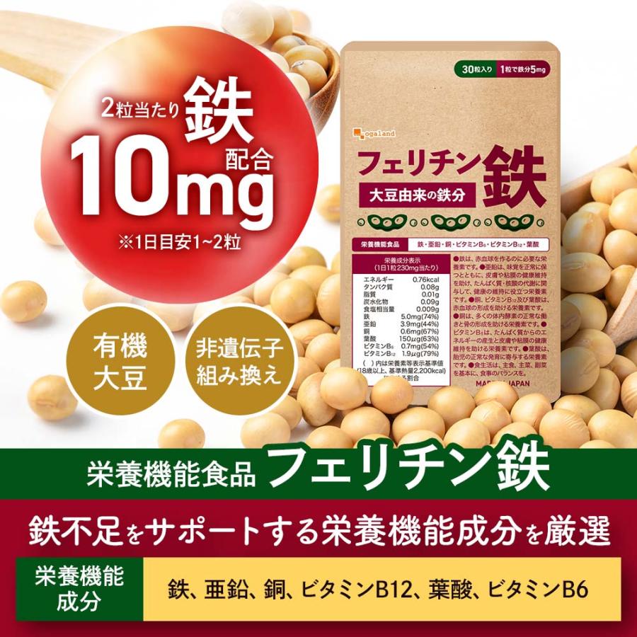 フェリチン鉄（約3ヶ月分）新発売 栄養機能食品 貯蔵鉄 鉄 不足 ミネラル ビタミン 大豆 由来 亜鉛 やさしい 美容 ダイエット サプリ ポイント利用 | ogaland | 02