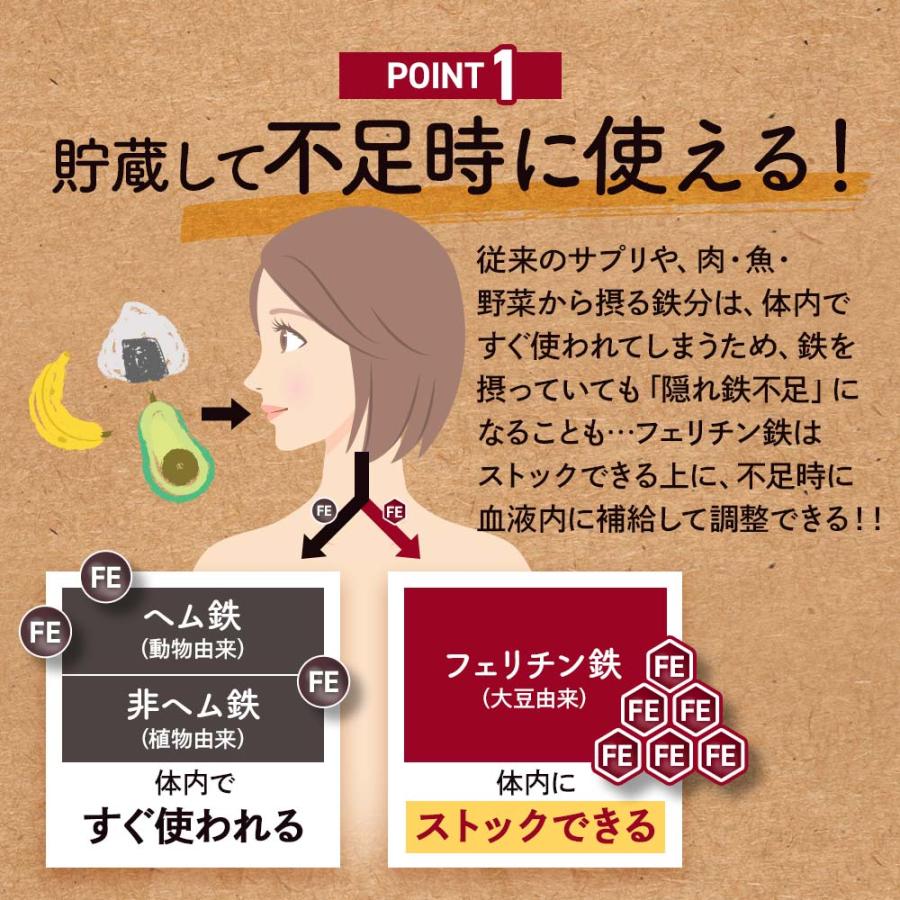 フェリチン鉄（約3ヶ月分）新発売 栄養機能食品 貯蔵鉄 鉄 不足 ミネラル ビタミン 大豆 由来 亜鉛 やさしい 美容 ダイエット サプリ ポイント利用 | ogaland | 05
