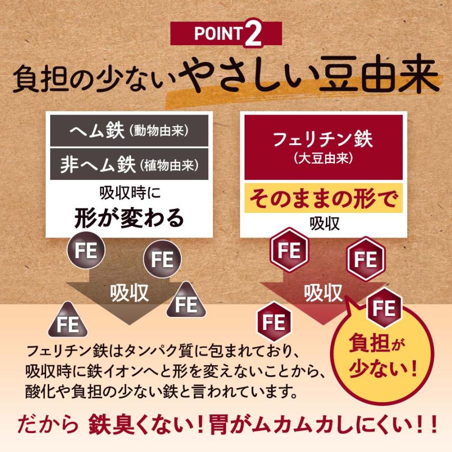 フェリチン鉄（約3ヶ月分）新発売 栄養機能食品 貯蔵鉄 鉄 不足 ミネラル ビタミン 大豆 由来 亜鉛 やさしい 美容 ダイエット サプリ ポイント利用 | ogaland | 06
