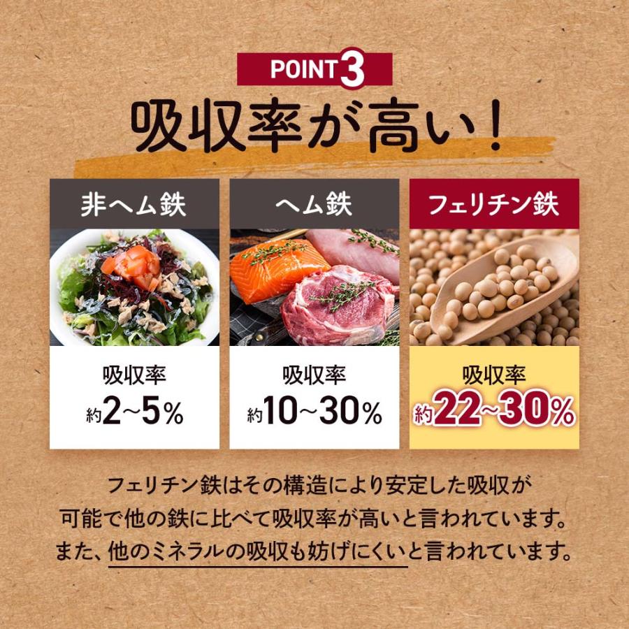 フェリチン鉄（約3ヶ月分）新発売 栄養機能食品 貯蔵鉄 鉄 不足 ミネラル ビタミン 大豆 由来 亜鉛 やさしい 美容 ダイエット サプリ ポイント利用 | ogaland | 07