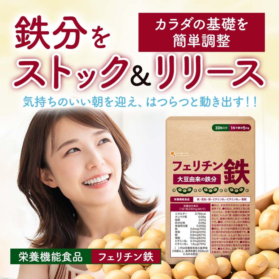 フェリチン鉄（約6ヶ月分）新発売 栄養機能食品 貯蔵鉄 鉄 不足 まめ鉄 鉄分 サプリミネラル ビタミン 大豆 由来 亜鉛 やさしい オーガランド ポイント利用 | ogaland | 16
