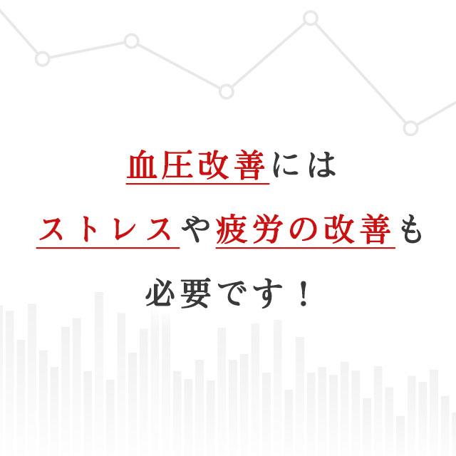 GABA （約3ヶ月分） 血圧 改善 ストレス 軽減 疲労感 緩和 チョコ より優れた 携帯性 機能性表示食品 サプリ サプリメント ギャバ 亜麻仁油 イワシ 高麗人参｜oga｜09