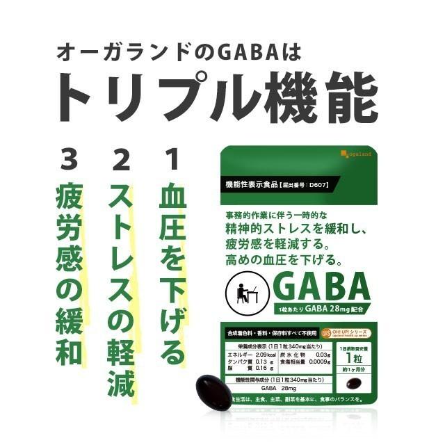 メニコン めにサプリ GABA ギャバ 2袋 血圧ケア 精神的ストレス緩和