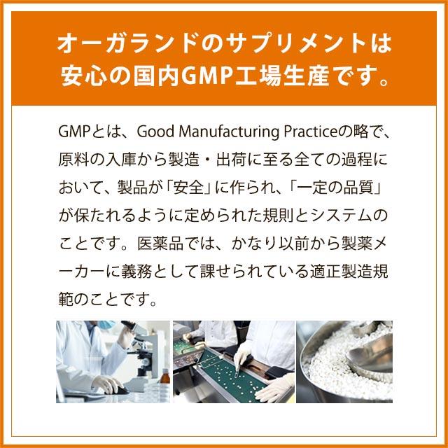 GABA サプリ 約1ヶ月分 血圧が高めの方に ギャバ 疲労感 緩和 精神的ストレス 血圧改善 1粒に28mg アミノ酸 高麗人参 ペプチド ポイント利用 | ogaland | 17