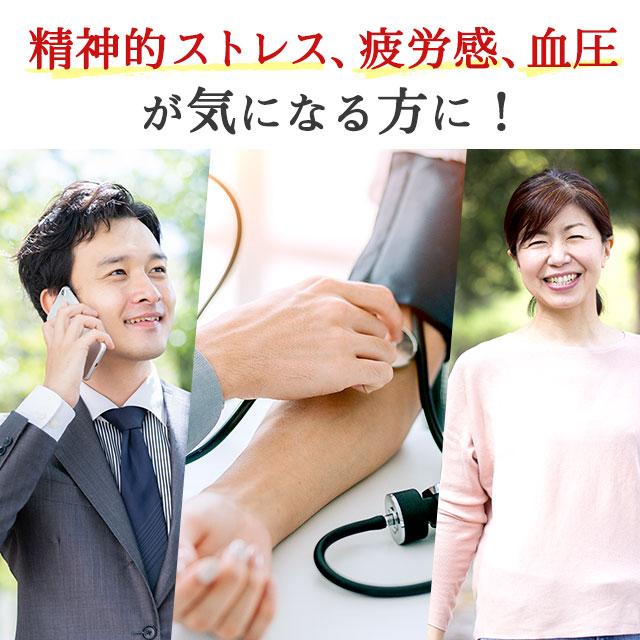 GABA サプリ 約1ヶ月分 血圧が高めの方に ギャバ 疲労感 緩和 精神的ストレス 血圧改善 1粒に28mg アミノ酸 高麗人参 ペプチド ポイント利用 | ogaland | 01