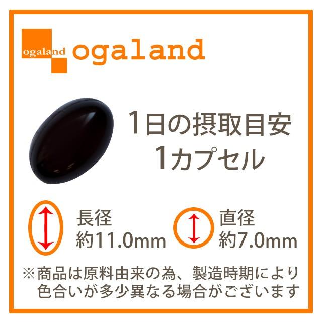 GABA サプリ 約1ヶ月分 血圧が高めの方に ギャバ 疲労感 緩和 精神的ストレス 血圧改善 1粒に28mg アミノ酸 高麗人参 ペプチド ポイント利用 | ogaland | 18