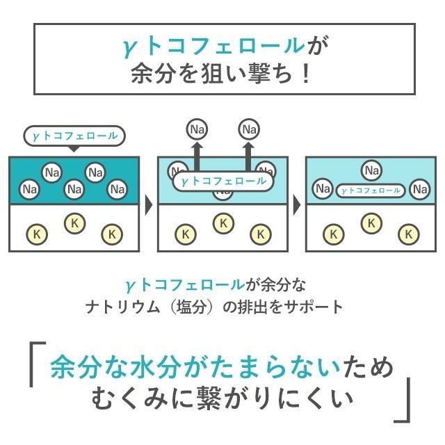 γ-トコフェロール （約12ヶ月分） サプリ ビタミンE アボカド 油 GABA トコフェロール サプリメント 立ち仕事や外食が多い方｜oga｜11