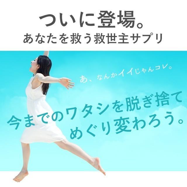 γ-トコフェロール （約12ヶ月分） サプリ ビタミンE アボカド 油 GABA トコフェロール サプリメント 立ち仕事や外食が多い方｜oga｜03