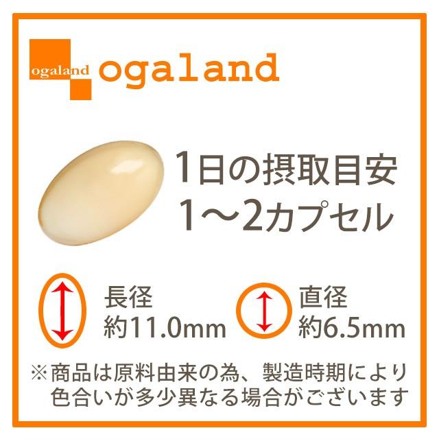 γ-トコフェロール （約1ヶ月分） サプリメント サプリ ビタミンE アボカド 油 ギャバ GABA トコフェロール 1000円 ポッキ ポイント利用 | ogaland | 14