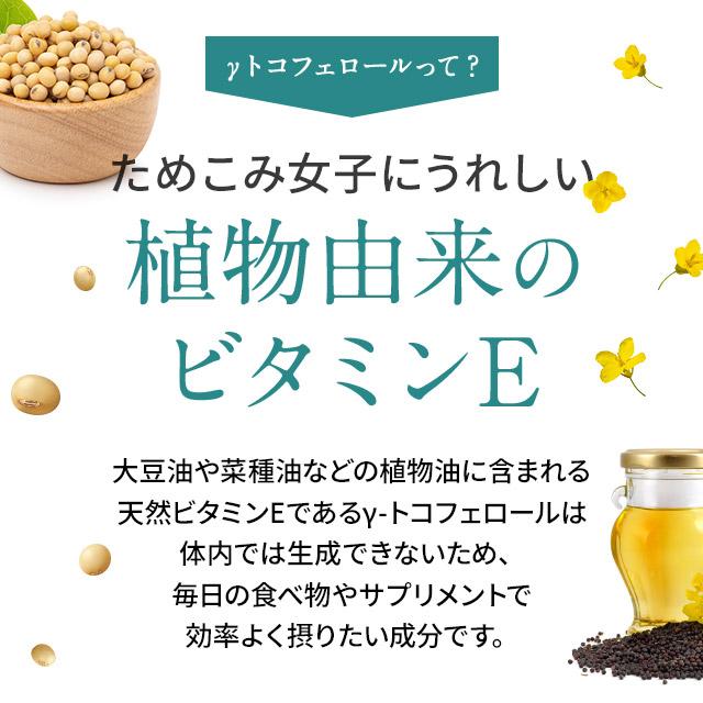 γ-トコフェロール （約1ヶ月分） サプリメント サプリ ビタミンE アボカド 油 ギャバ GABA トコフェロール 1000円 ポッキ ポイント利用 | ogaland | 06