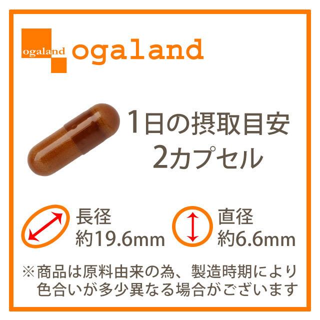 ガラナチャージ （180カプセル） カフェイン サプリ サプリメント エナジードリンクより手軽 低糖質 低カロリー ガラナ アルギニン ポイント利用 | ogaland | 12