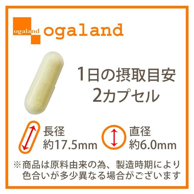 ogaland（オーガランド） α-リポ酸 （約6ヶ月分）ポイント利用 爆買