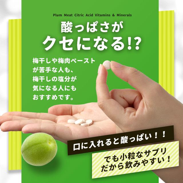 ogaland 梅肉クエン酸 ビタミン&ミネラル (2個セット・約6ヶ月 ogaland 梅肉クエン酸 ビタミン&ミネラル (2個セット・約6ヶ月