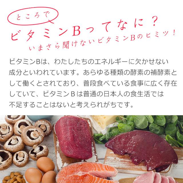 ビタミンBカプセル （約6ヶ月分）サプリメント 美容 サプリ 栄養機能食品 イノシトール 女性 葉酸 皮膚や粘膜の健康維持を助ける｜oga｜08