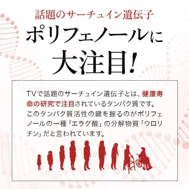 ザクロエキス ＆ 大豆イソフラボン （約6ヶ月分） フラボノイド サプリ 女性 美容 大豆 ザクロ イソフラボン サプリメント 半年分 送料無料｜oga｜05