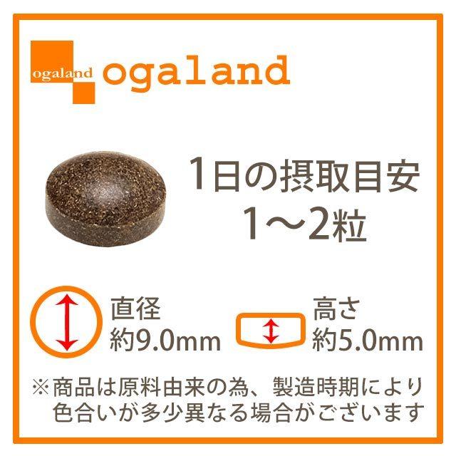 ogaland（オーガランド） コレウスフォルスコリ （約6ヶ月分