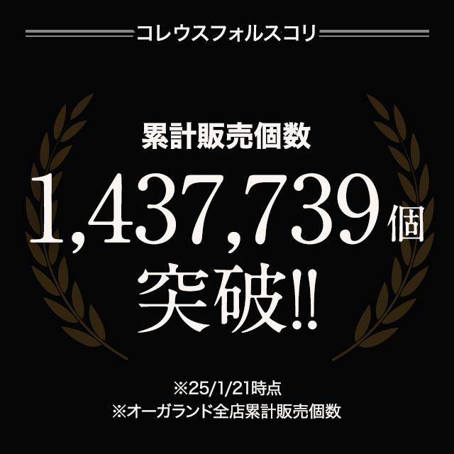 ogaland（オーガランド） コレウスフォルスコリ （約6ヶ月分