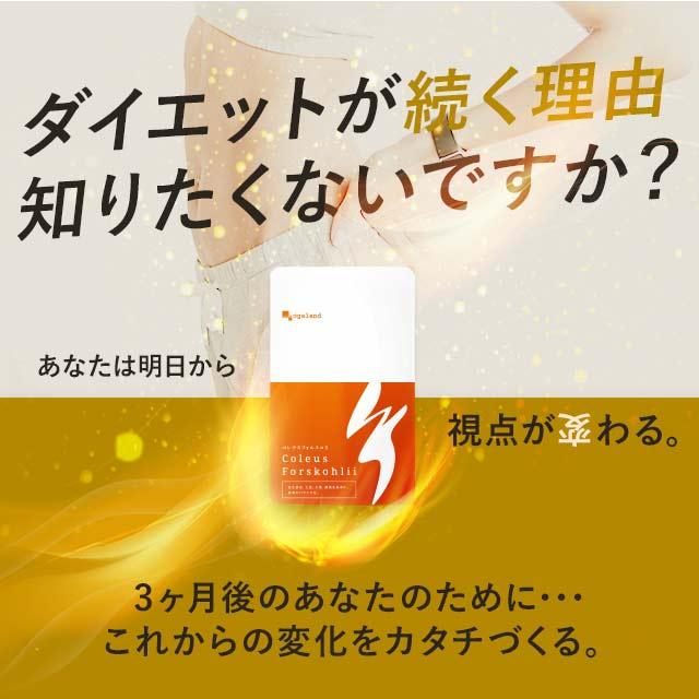【15ヶ月分★半額以下★新品・未開封】オーガランド コレウスフォルスコリ ogaland（オーガランド） コレウスフォルスコリ （約6ヶ月分