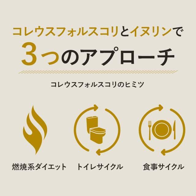 ogaland（オーガランド） コレウスフォルスコリ （約6ヶ月分