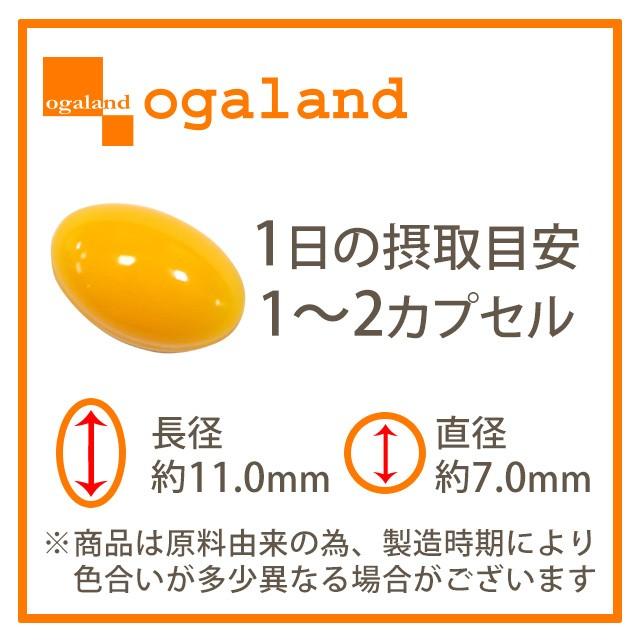 ogaland（オーガランド） グレープフルーツサプリ （約6ヶ月分