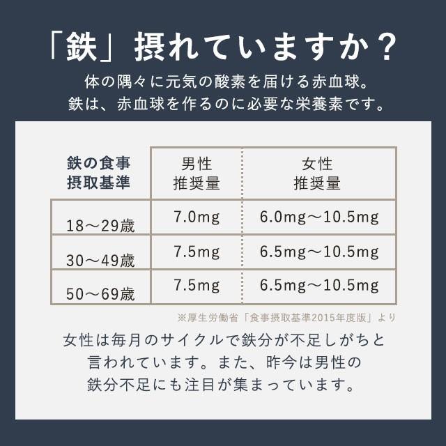 ヘム鉄 ＆ ビタミン （約6ヶ月分） サプリメント 鉄 サプリ ミネラル ビタミン 女性 の悩みに 栄養機能食品 皮膚 や 粘膜 の 健康 維持を助ける 半年分 美容｜oga｜05